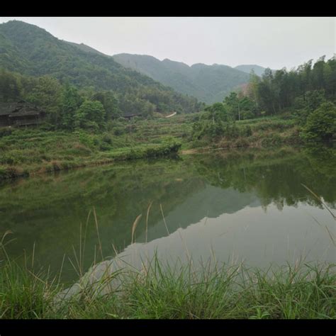 屋後有水池風水|房前屋後有水池好不好 屋後有池龍背生瘡